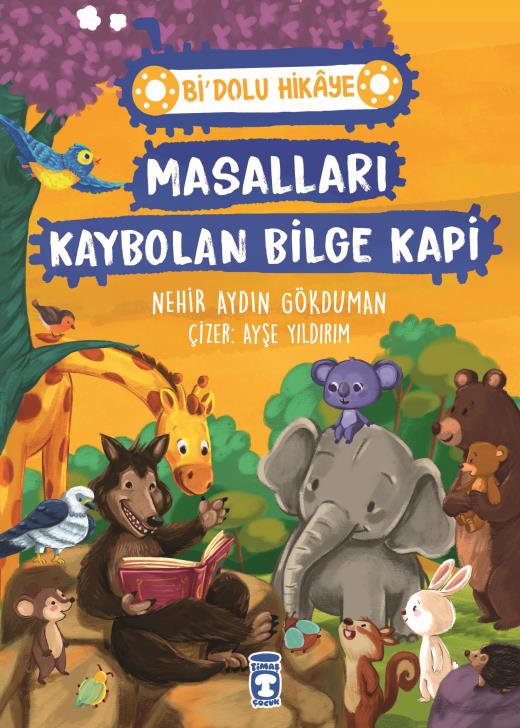 Masalları Kaybolan Bilge Kapi